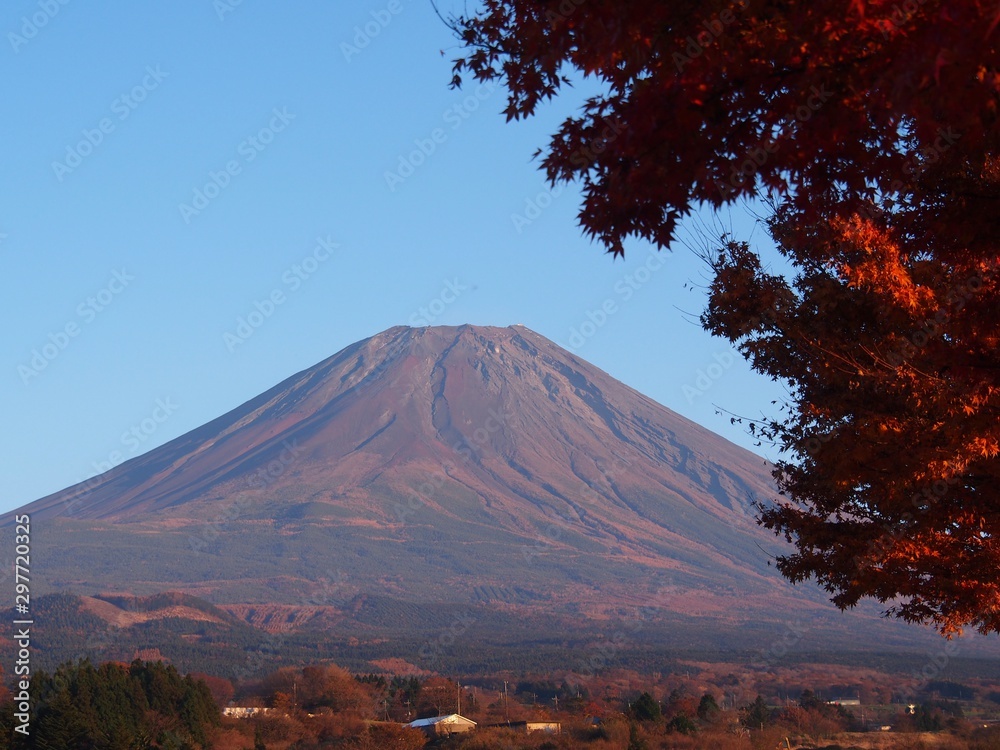Obraz premium 真っ赤な紅葉と富士山