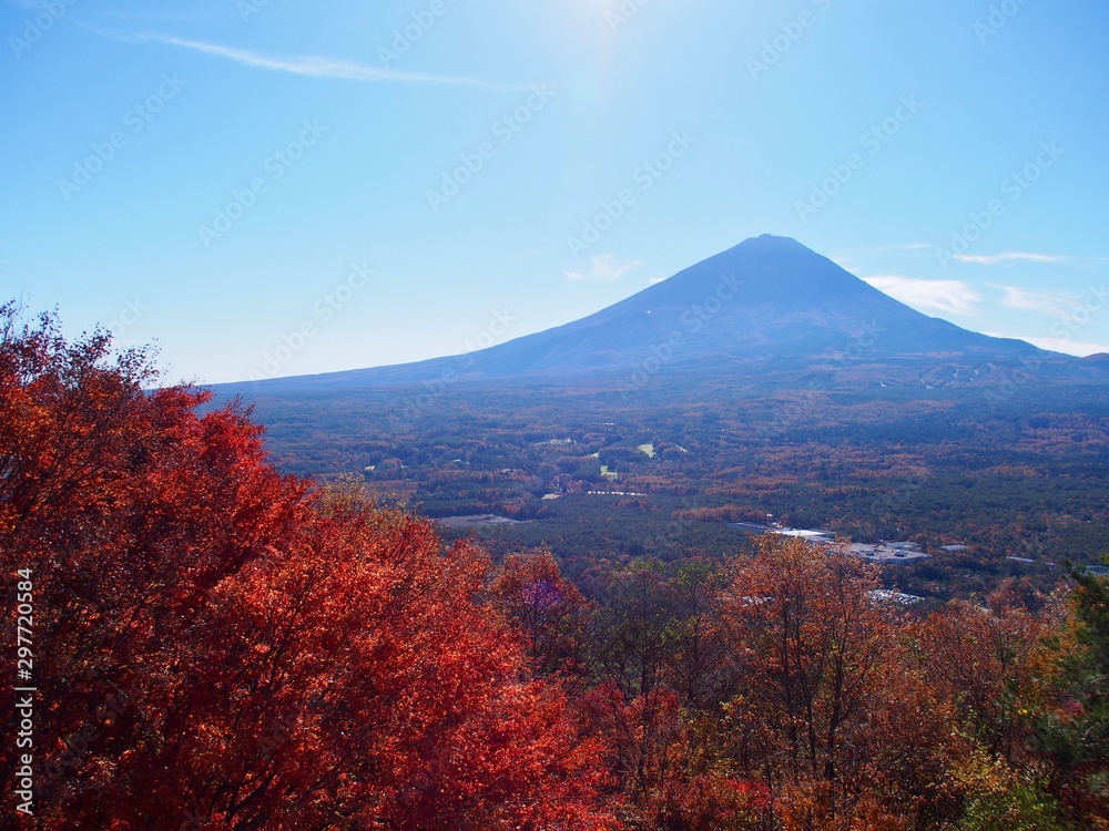 Fototapeta premium 紅葉台からの富士山