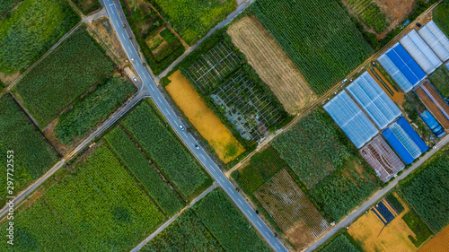 広大な田んぼ　空撮