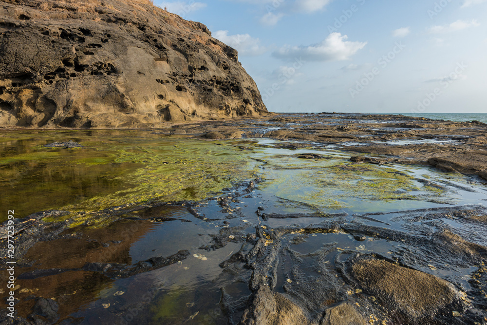 Water pools amd Moss covered rocks at Harinareshwar Rocky beach,Maharashtra,India