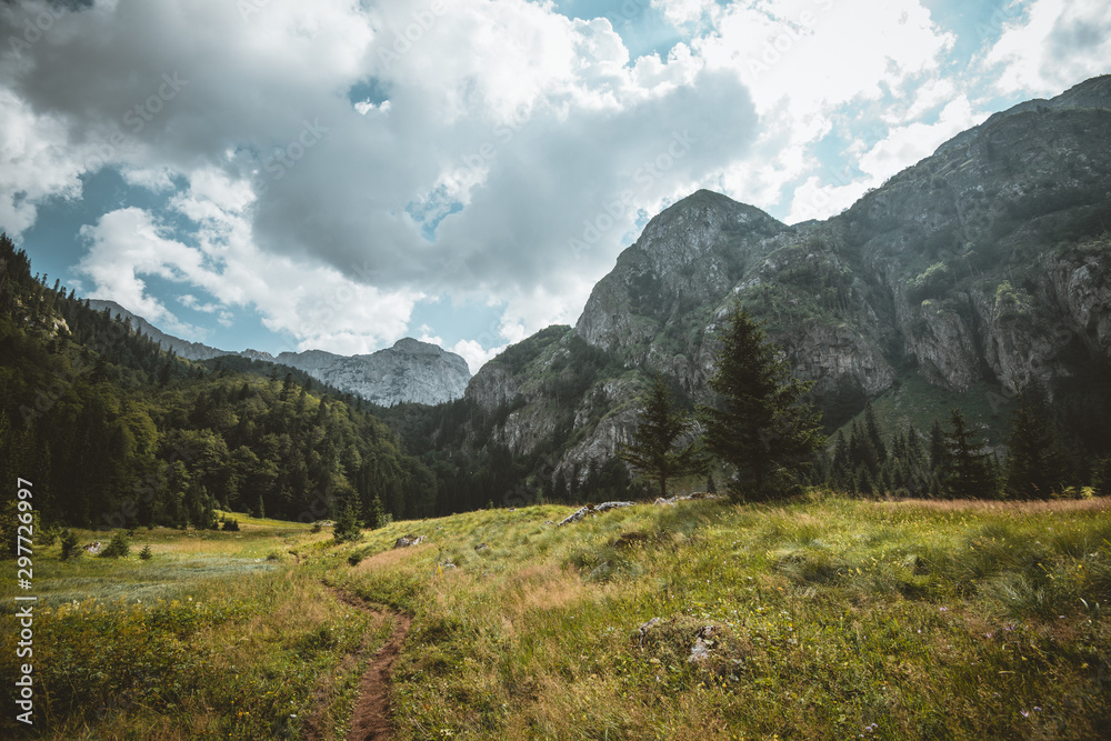 Fototapeta premium Mountain view in Montenegro 