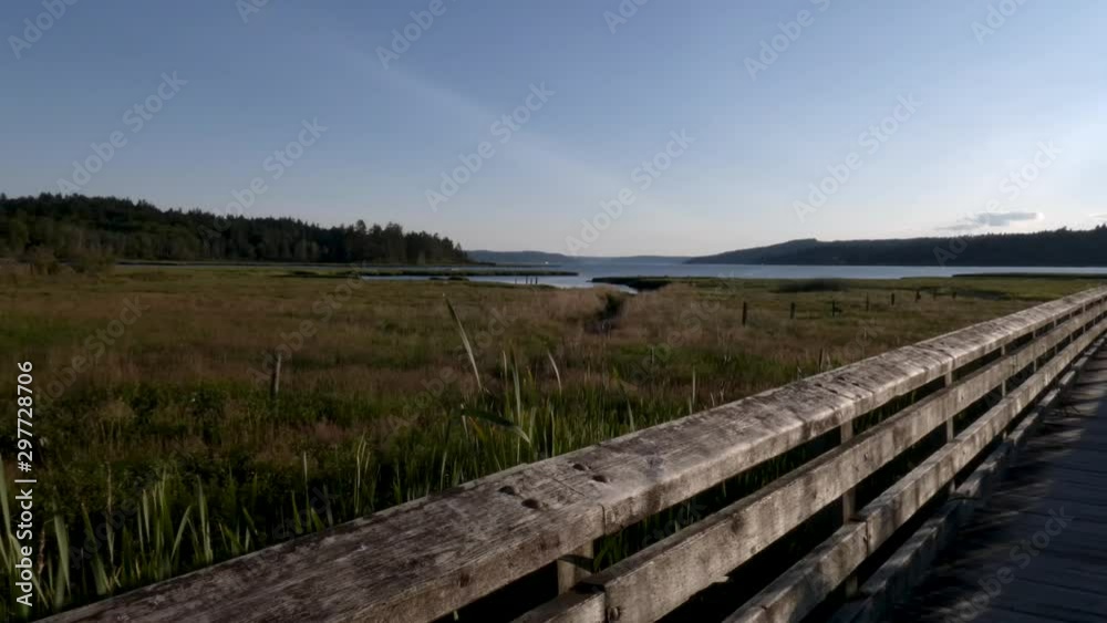 wetland boardwalk over grasses and under blue sky wetland boardwalk over grasses and under blue sky
