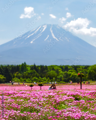Fuji 1
