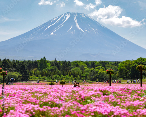 Fuji 2