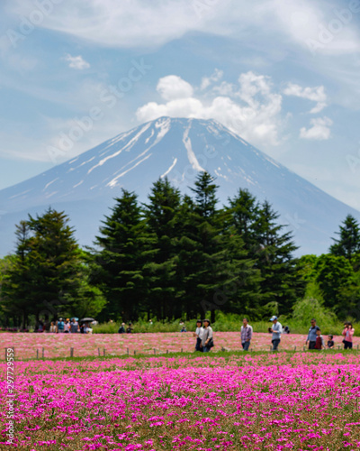 Fuji 4