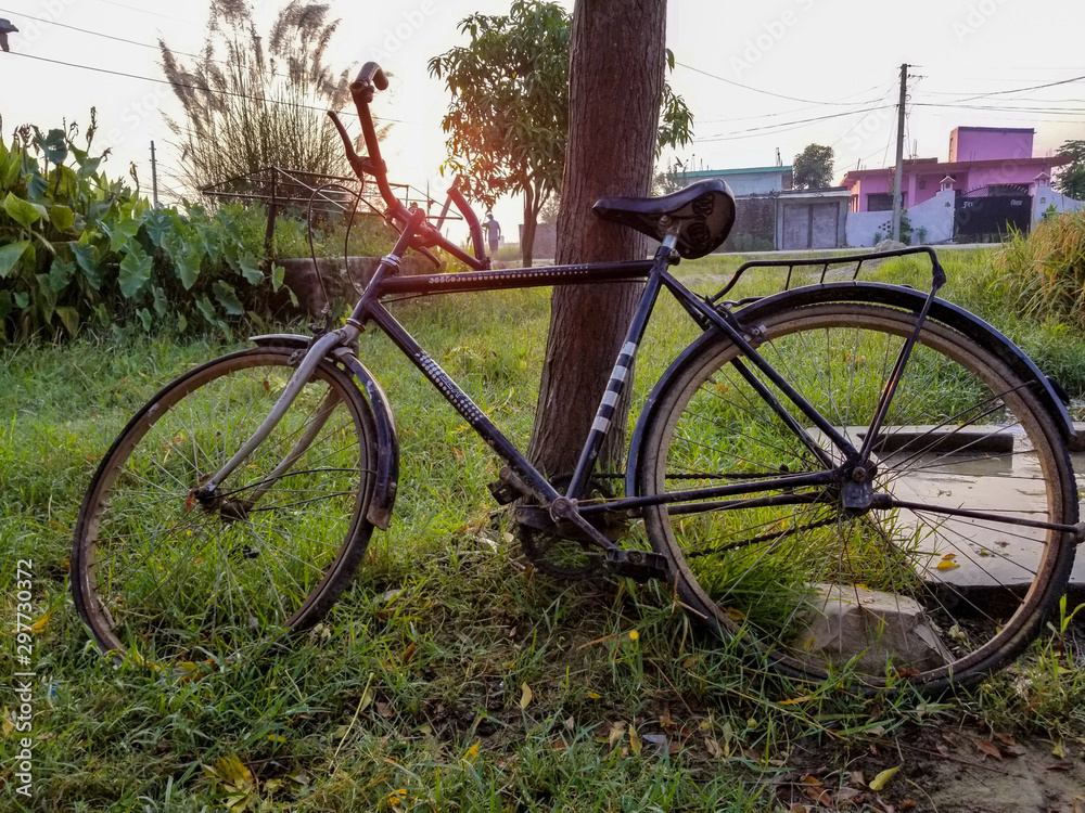 Bicycle Leaning Against Tree