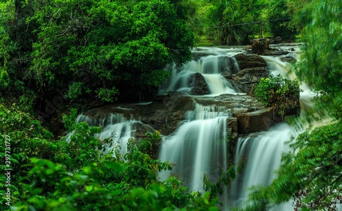 beautiful Sirimane water falls between green trees  in Yadadahalli  Karnataka
