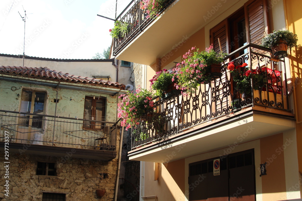 flowers on the street