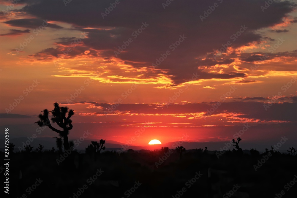 A blazing red sun sets in the high deser of California with silhouettes of Joshua trees.