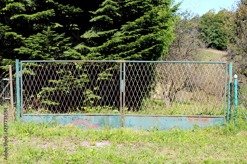 Closed elongated partially rusted metal entrance doors with cracked faded light green paint surrounded with tall uncut grass and dense trees on warm sunny summer day
