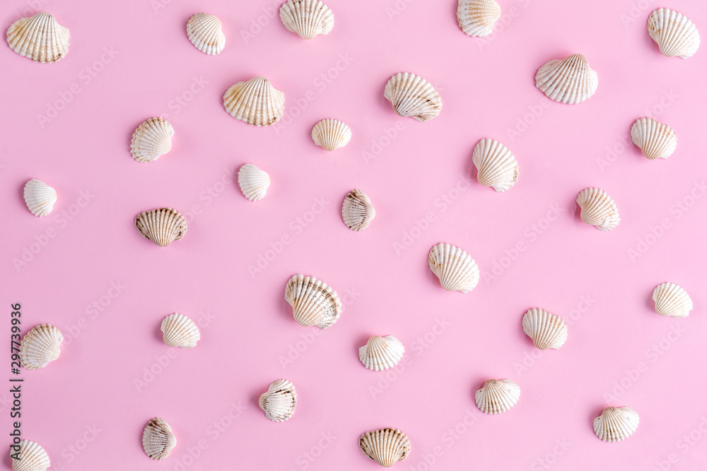Seashells pattern isoalted on pink top view Seashells pattern isoalted on pink top view