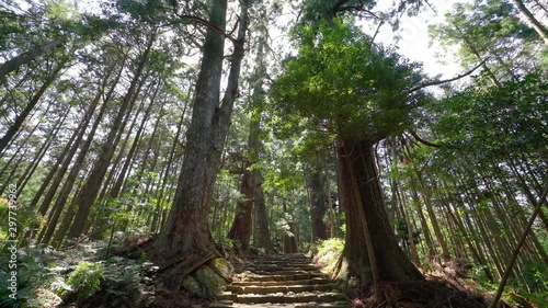 Scenic view of mountains viewpoint at Nachi Falls waterfalls , Nachikatsuura Wakayama Prefecture, Japan.