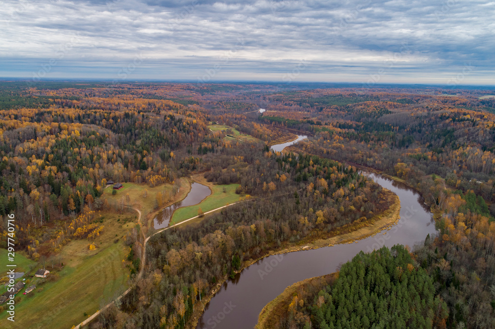 Thick colourful forest and river Gauja in autumn season in Gauja National Park, Sigulda, Latvia.	