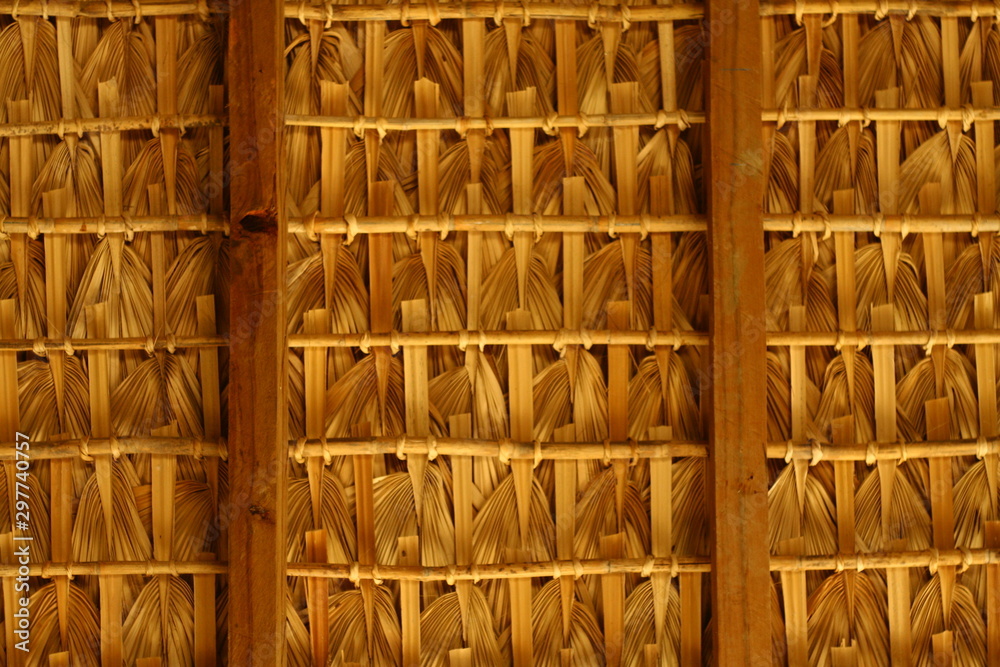 palapa roof palapa roof