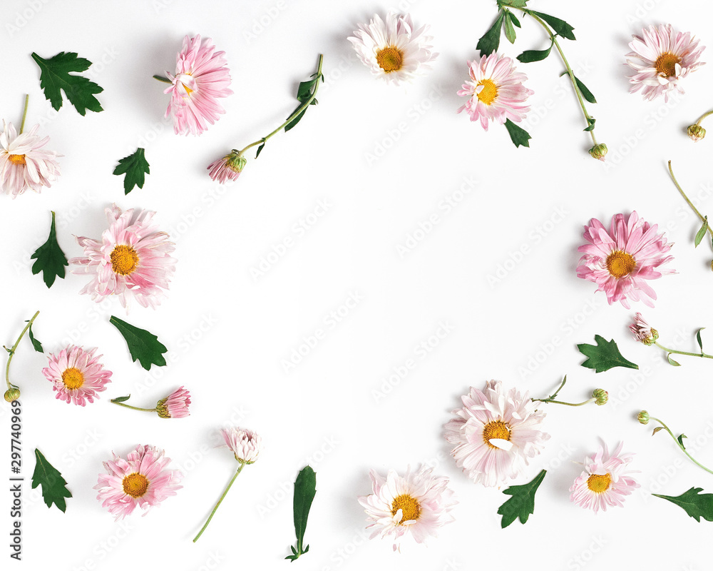 flower frame layout. beautiful pink chrysanthemums and green leaves on a white background. flat lay, space for a text