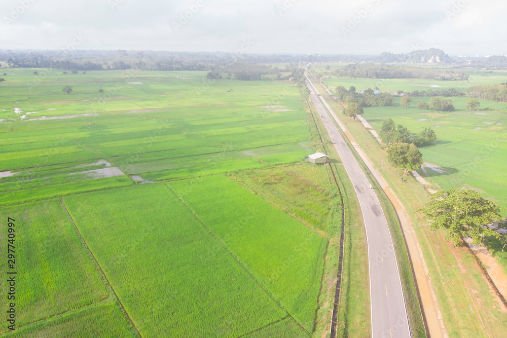 country road and green grass field aerial view