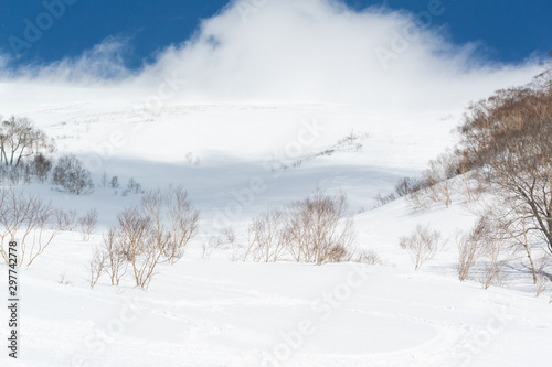 snow white mountain, back country, japan