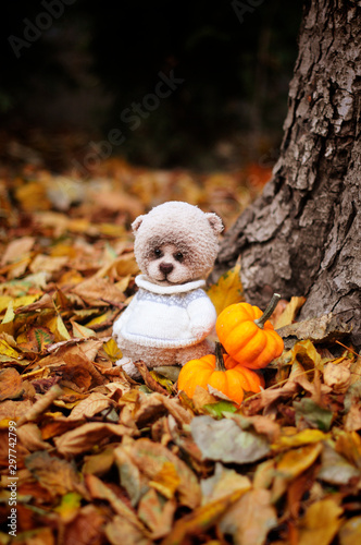 international teddy bear day. teddy bear and pumpkins in the autumn forest