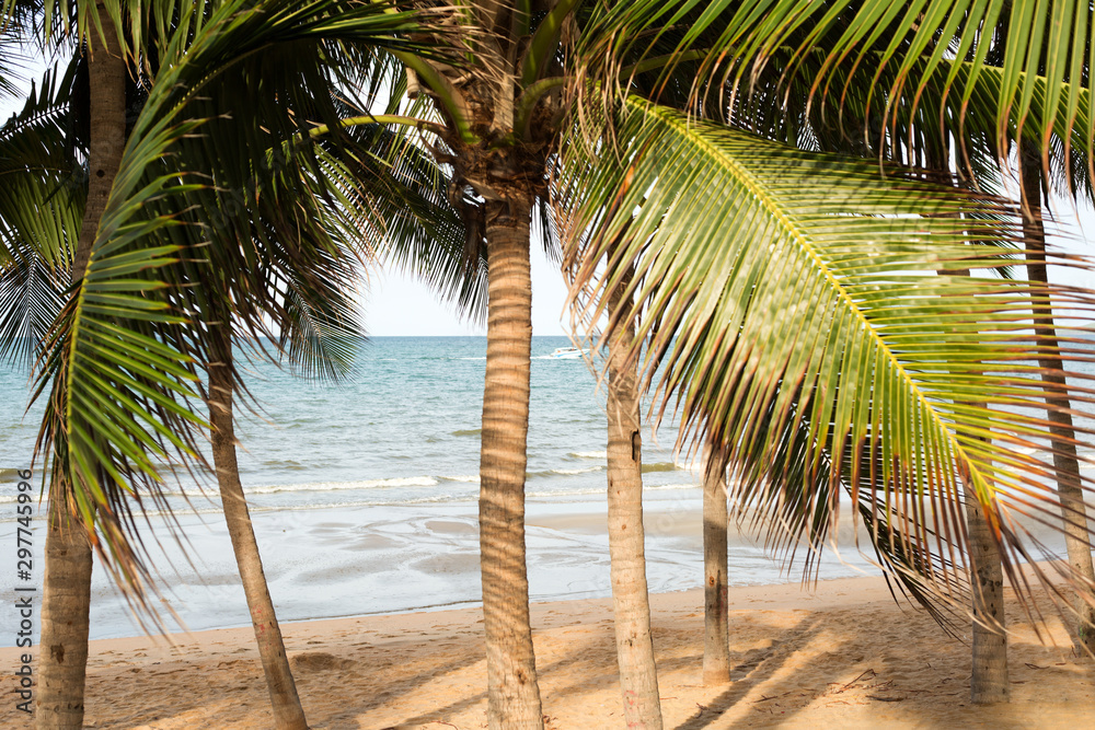 Sea is visible through palm tree branches. Tropical landscape.