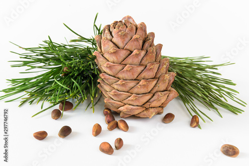 isolate, composition, pine cone, pine nuts and cedar branch on a white background