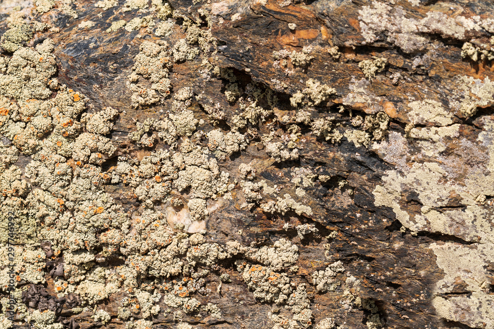 stone textures for graphic design work