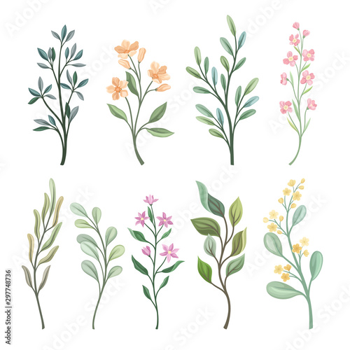 Set of branches with leaves. Vector illustration on a white background.
