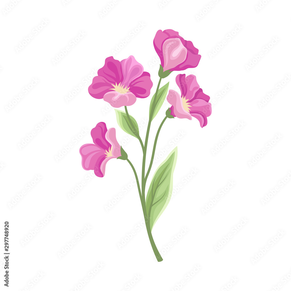Large pink flowers. Vector illustration on a white background.