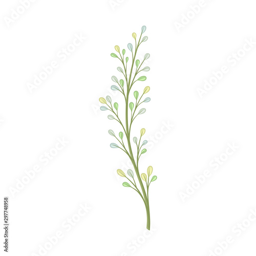 Long stalk with small leaves. Vector illustration on a white background.