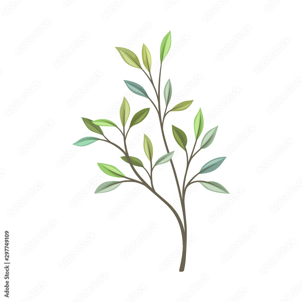 Branch with leaves of different shades. Vector illustration on a white background.