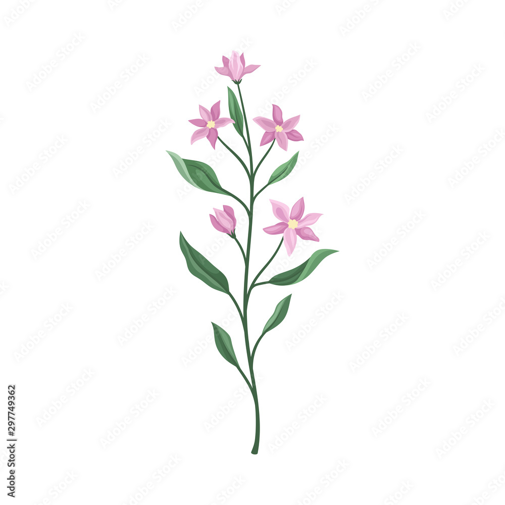 Lilac flowers on a green stem. Vector illustration on a white background. Lilac flowers on a green stem. Vector illustration on a white background.