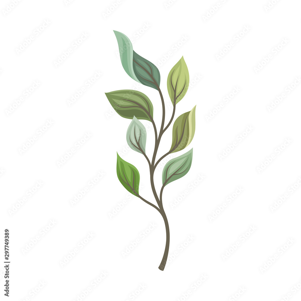 Leaves of different shades on a thin stalk. Vector illustration on a white background. - obrazy, fototapety, plakaty 