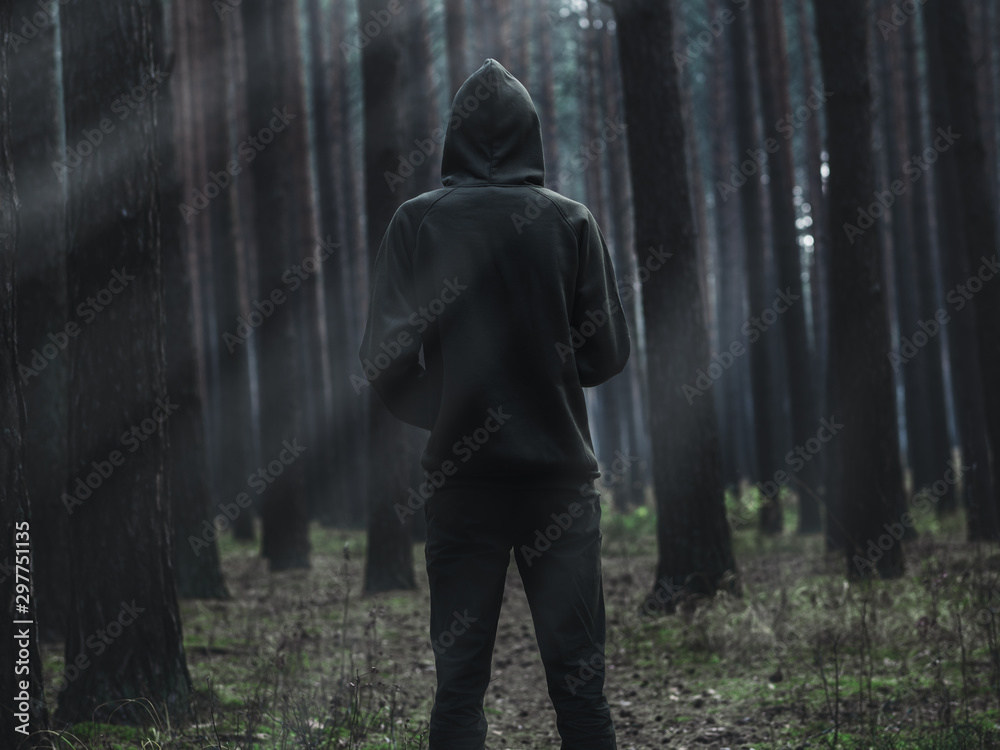 a view from the back of a lone man in a hoodie standing in a dark foggy forest Stock Adobe Stock