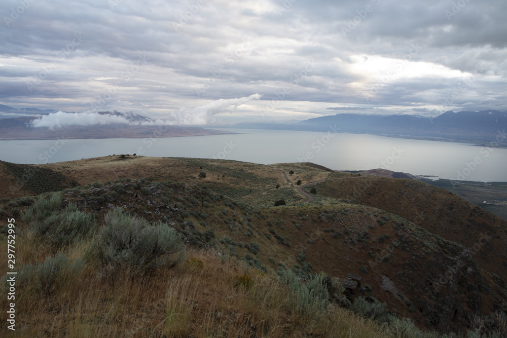Utah Lake, Sunrise, Wildlife
