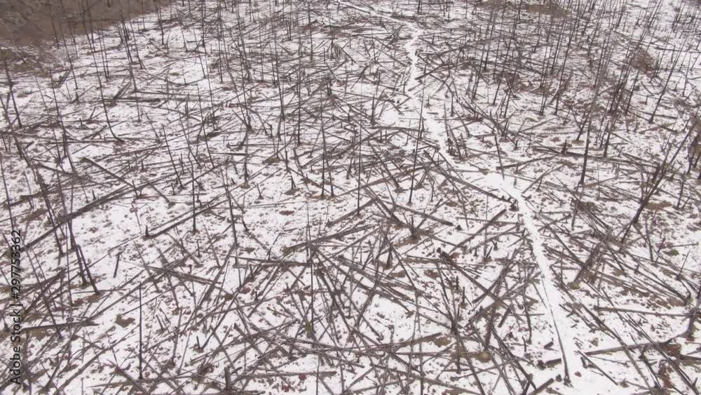 AERIAL: Flying over a large snow covered hill after a wildfire burned down the forest. Tree trunks lie on the ground after a brutal wildfire devastated the otherwise scenic wilderness in Canada. AERIAL: Flying over a large snow covered hill after a wildfire burned down the forest. Tree trunks lie on the ground after a brutal wildfire devastated the otherwise scenic wilderness in Canada.