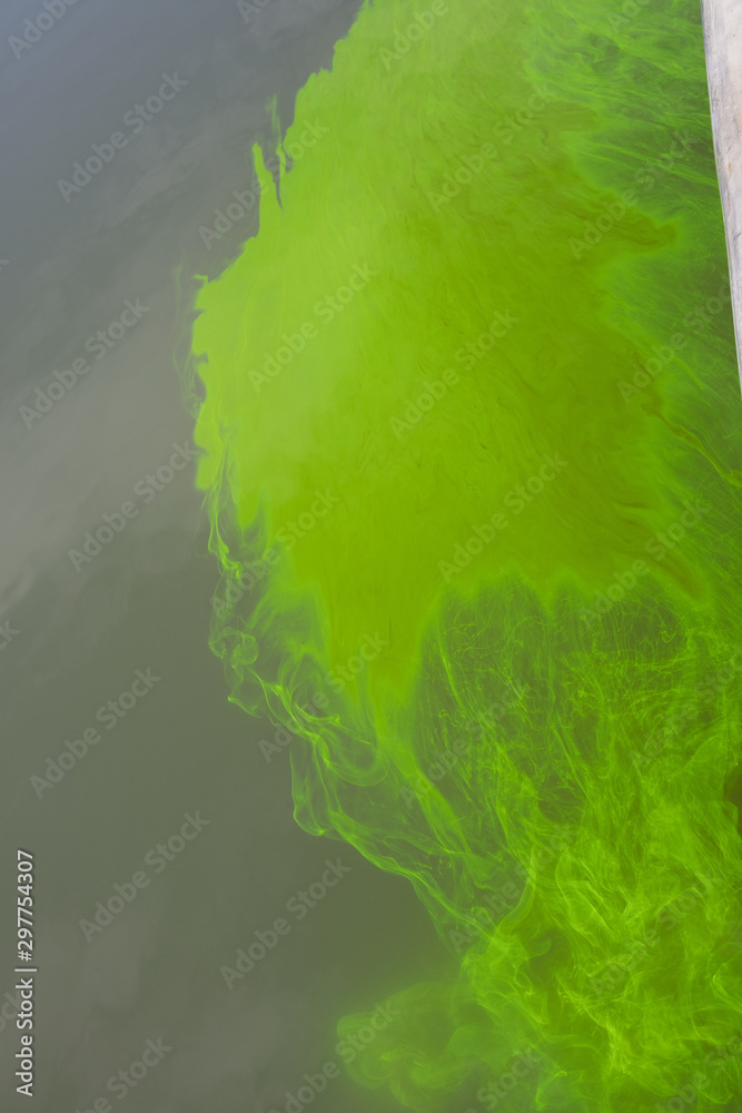 Fototapeta Sodium Fluorescein
