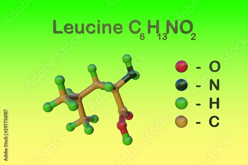 Structural chemical formula and molecular model of l-leucine or leucine  an amino acid used in the biosynthesis of proteins. Medical background. Scientific background. 3d illustration