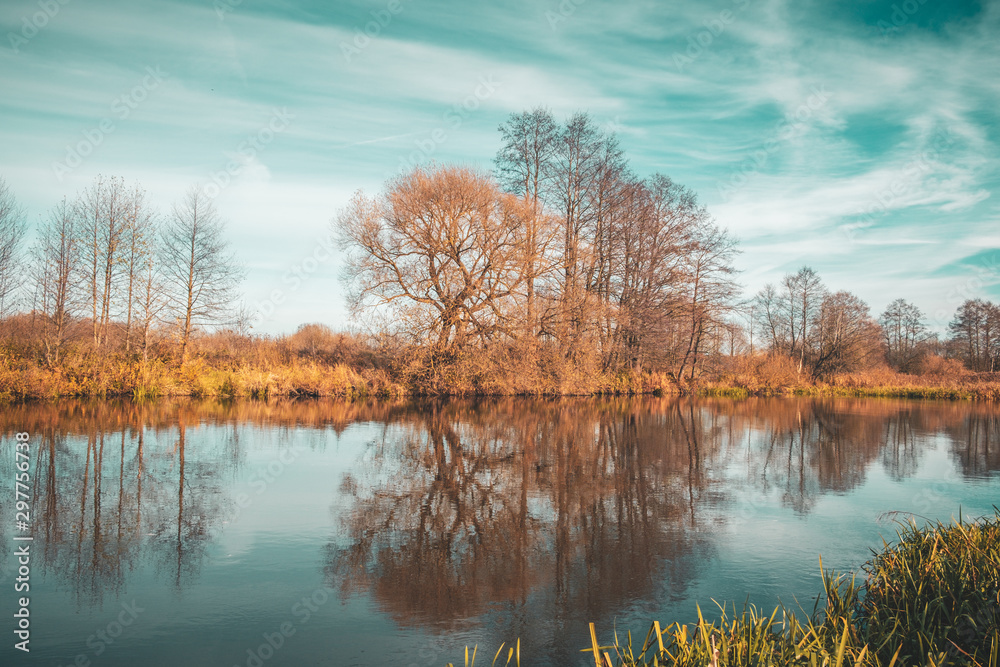Obraz premium Trees are reflected in the water against the background of clouds.