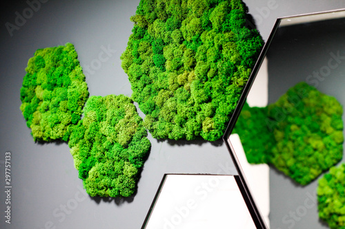 Photography bathroom design with green moss
