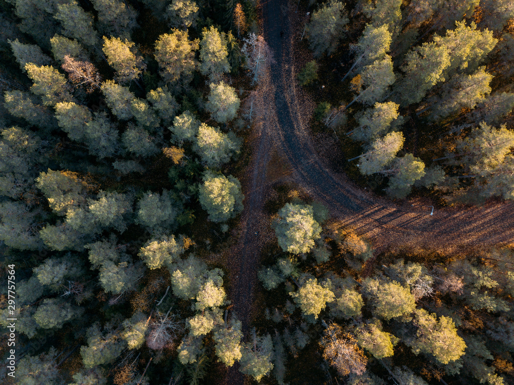Road through autumnal forest - aerial view. Finland