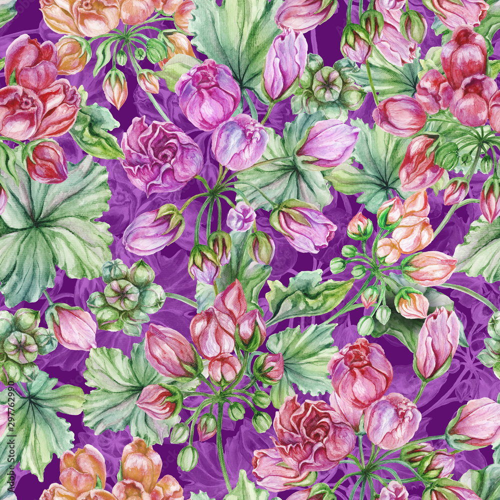 Beautiful floral background with tulip-flowered pelargoniums flowers and leaves. Geranium flowers. Seamless botanical pattern. Watercolor painting. Hand painted floral illustration. Beautiful floral background with tulip-flowered pelargoniums flowers and leaves. Geranium flowers. Seamless botanical pattern. Watercolor painting. Hand painted floral illustration.