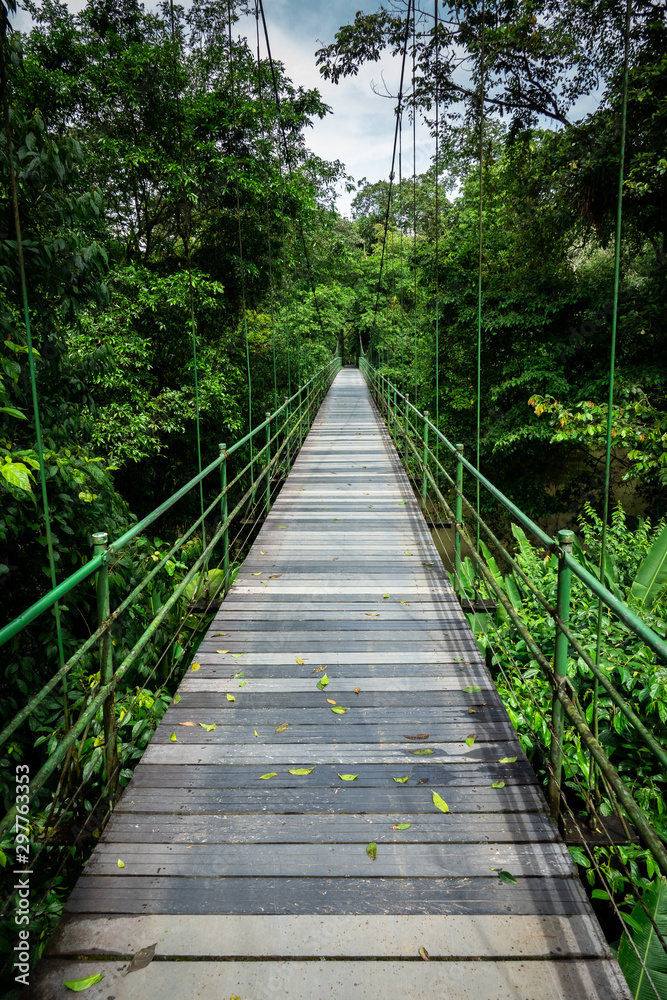 Suspension bridge at Sarapiqui jungle, Costa Rica. 