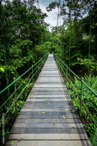 Fototapeta Naklejka Na Ścianę i Meble -  Suspension bridge at Sarapiqui jungle, Costa Rica. 