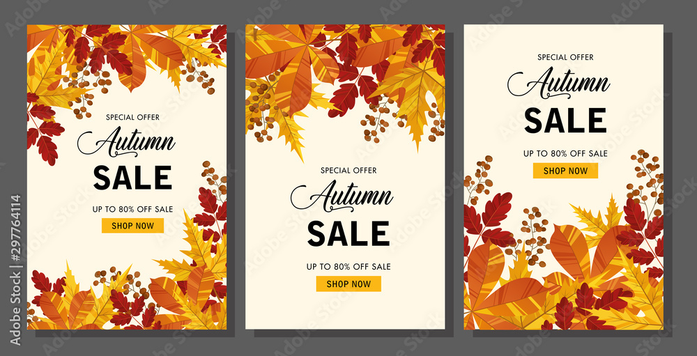 Fototapeta Set autumn sale background layout decorate with leaves of autumn for shopping sale or banner, promo poster, frame leaflet or web. Vector illustration.