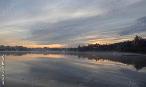 foggy morning landscape with lake and trees on shore. Beautiful glare, blurry background and blurry foreground © ANDA