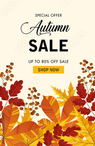 Autumn sale background layout decorate with leaves of autumn for shopping sale or banner, promo poster, frame leaflet or web. Vector illustration. 