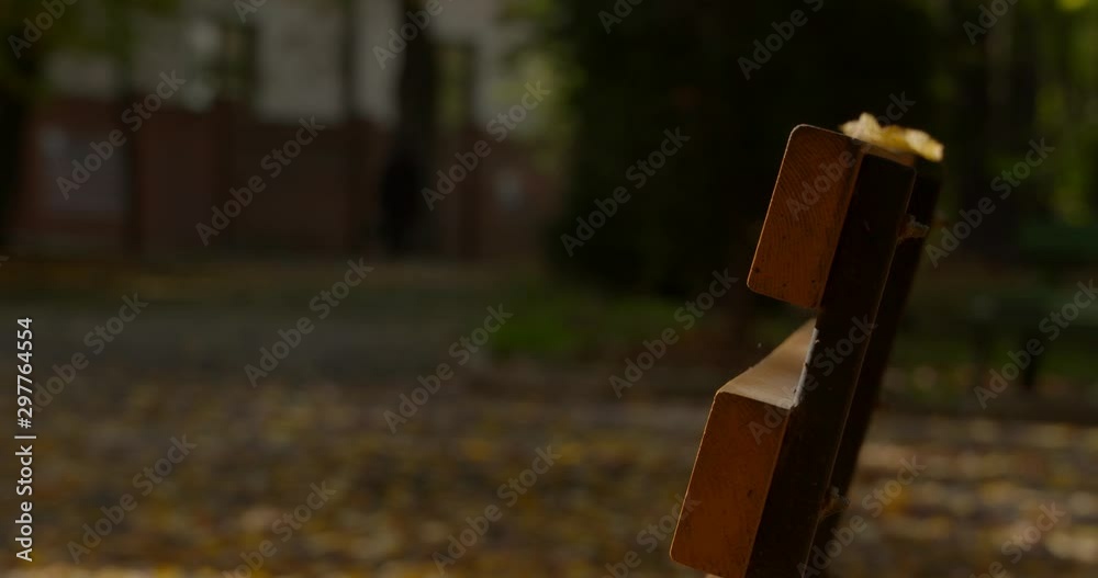 Bench in the yellow park. Fall season.