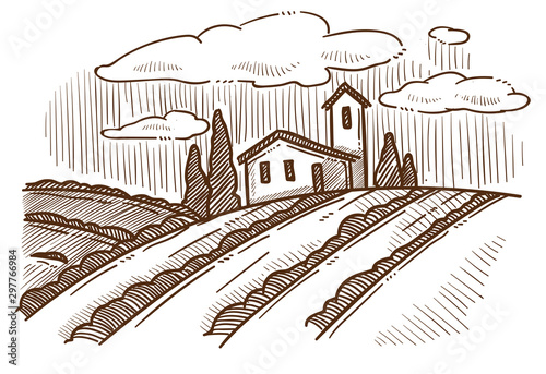 Winemaking farm, house and grape plantation fields landscape sketch