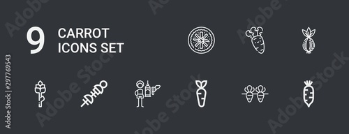 Editable 9 carrot icons for web and mobile
