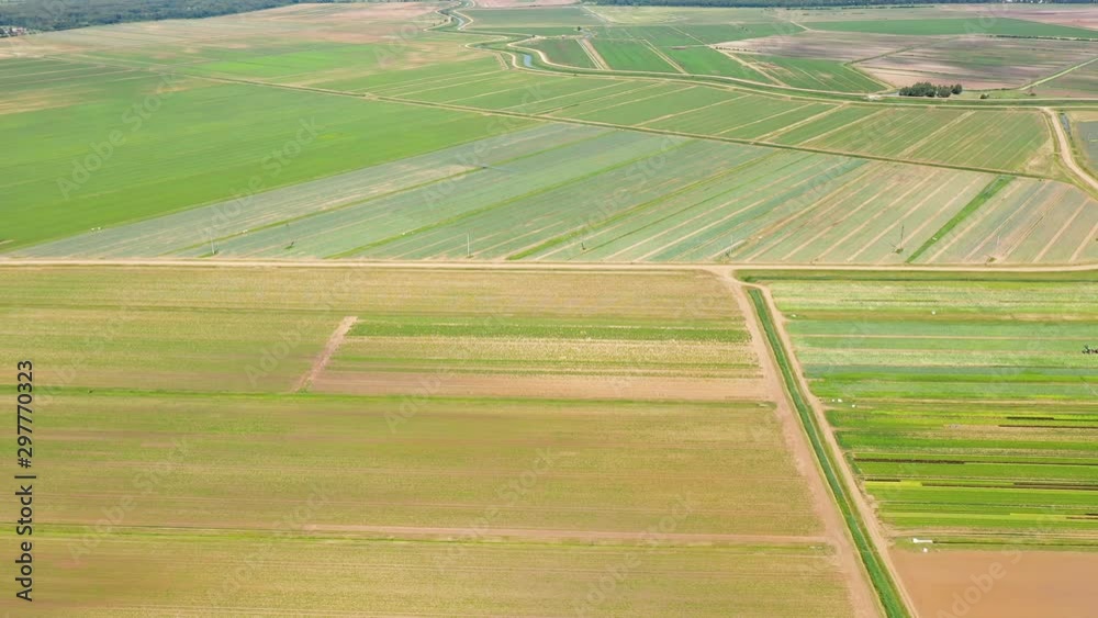 Agricultural land with with green crops and agricultural machinery top view. Countryside with farmland.