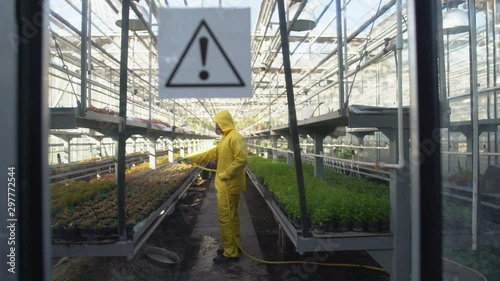 Worker in protective uniform hosing plants in greenhouse, warning sign on door
